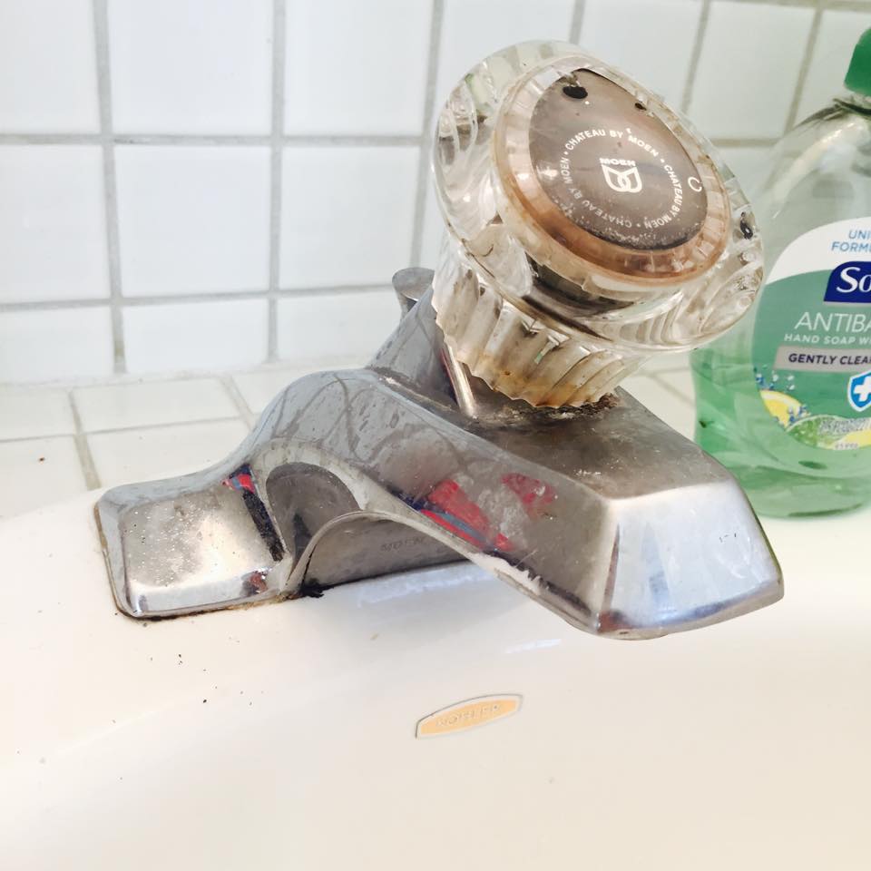 VinegarCleaner3