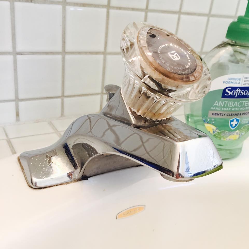 VinegarCleaner6