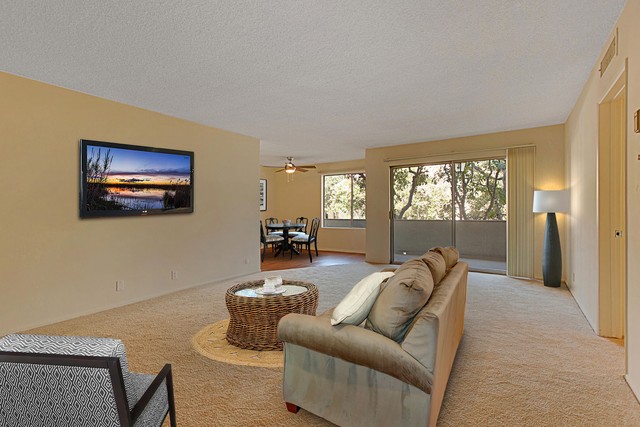 encino3