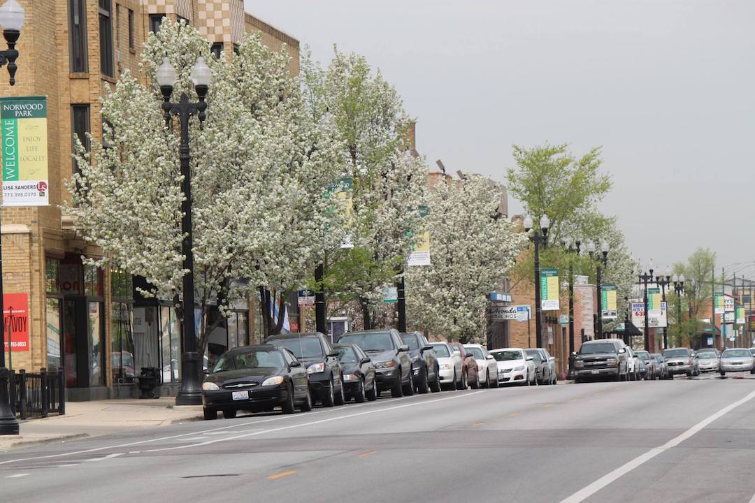 Norwood Park