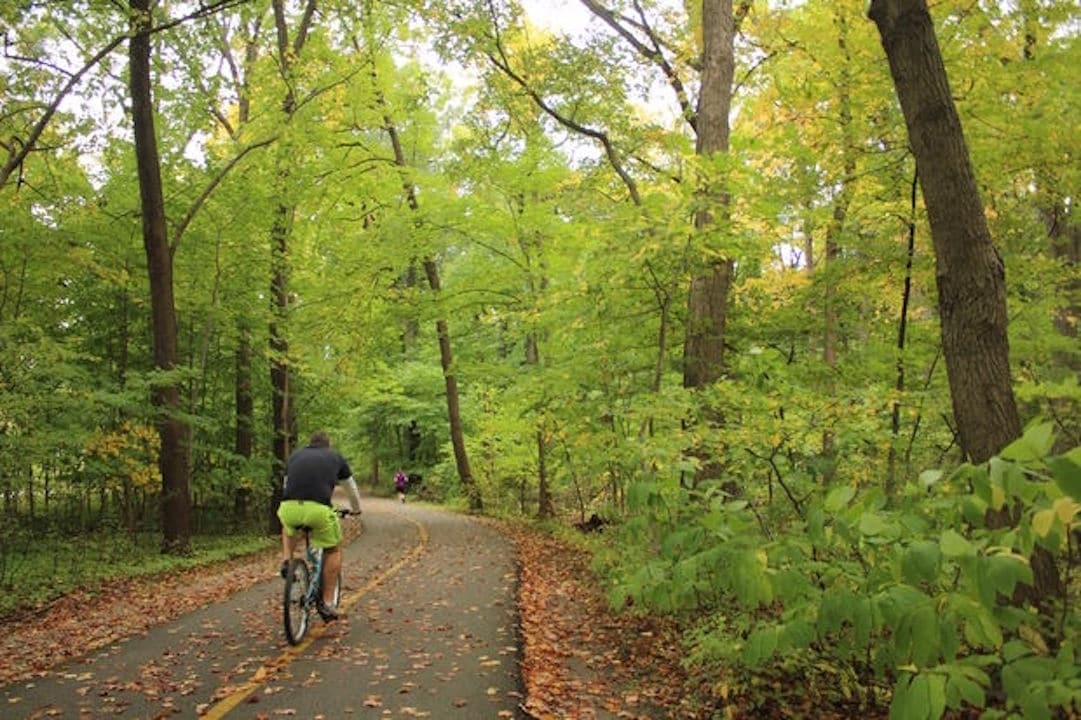 man riding bike through bike path in forest