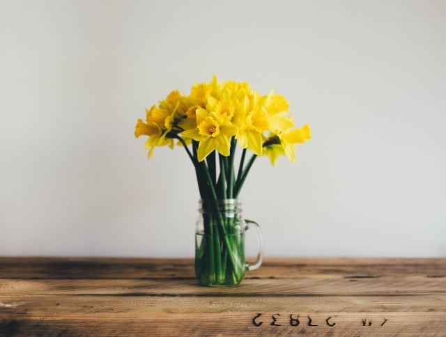 Photo Credit: Pexels