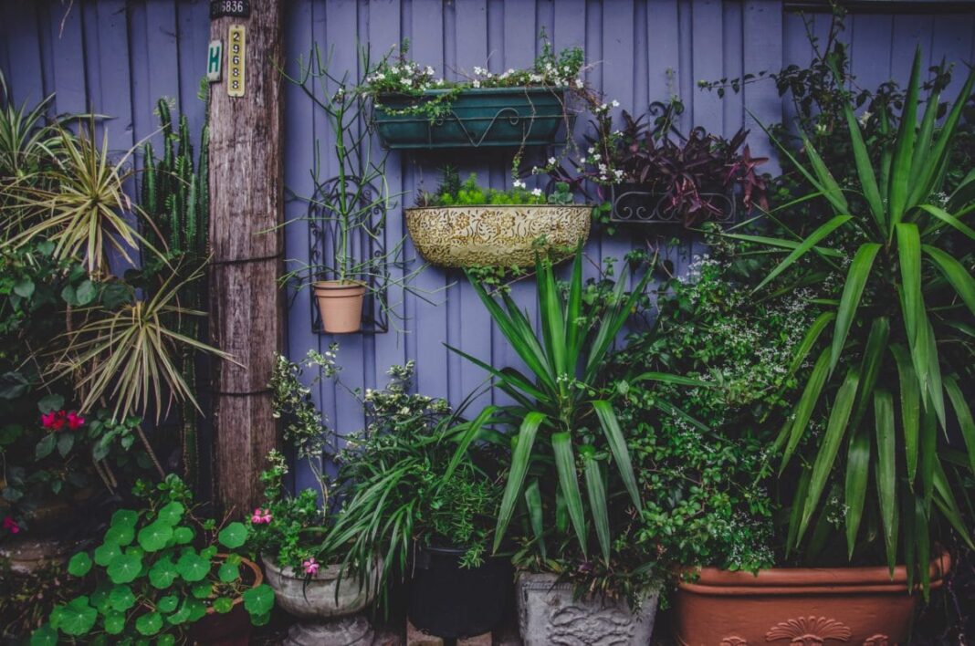 Photo Credit: Unsplash, Cherry Laithang
