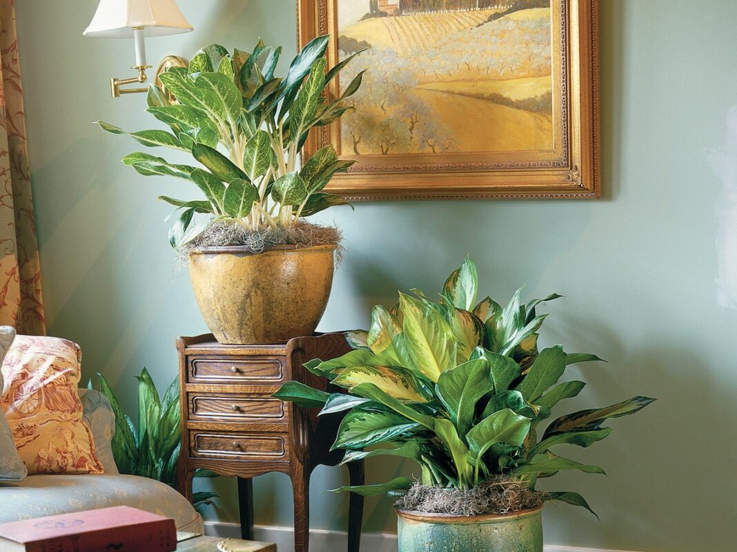Image: Southern Living