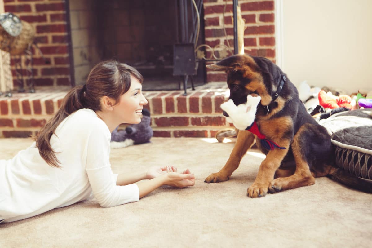 woman laying on ground playing with puppy