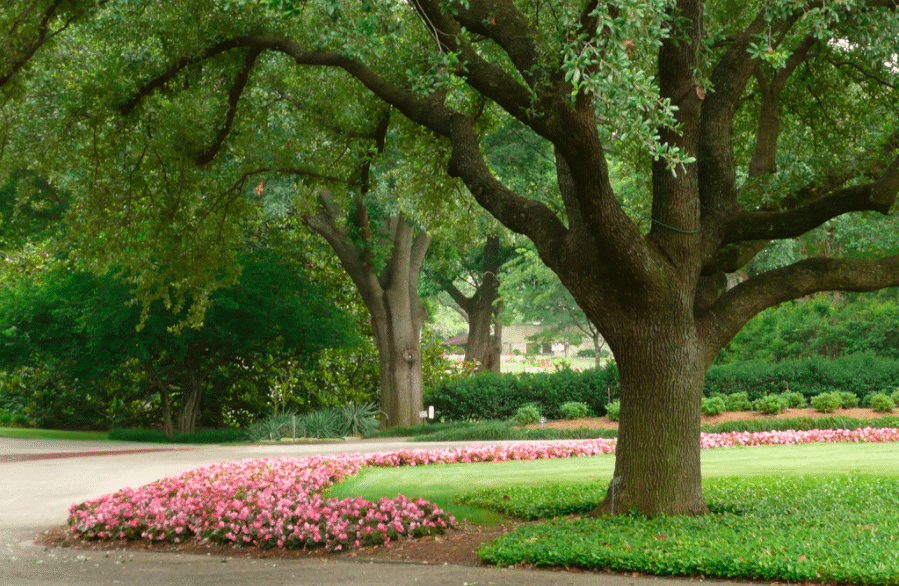 dallas park