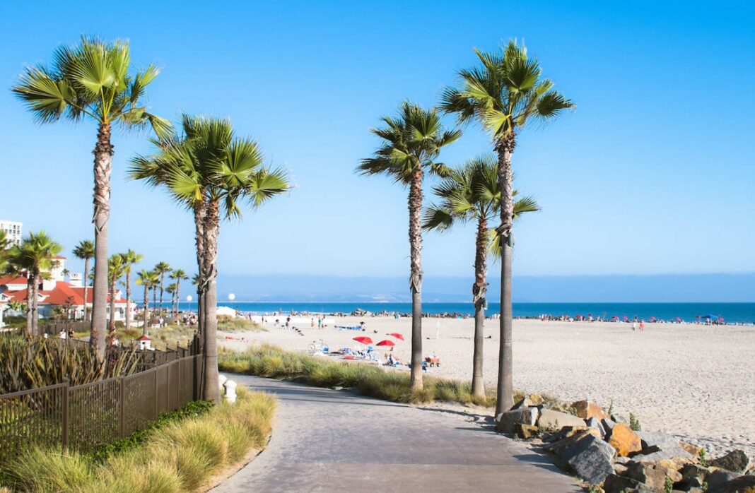 San Diego walking path with palm trees, beach and ocean in the background