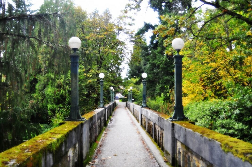 Washington Arboretum