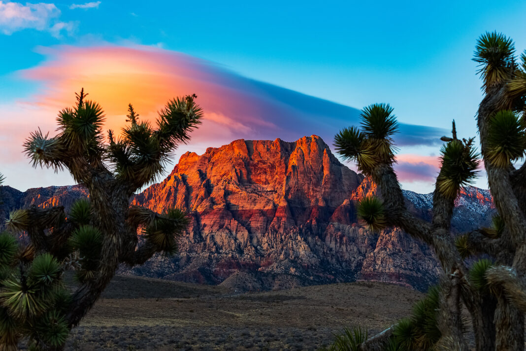 the Mojave desert at sunset