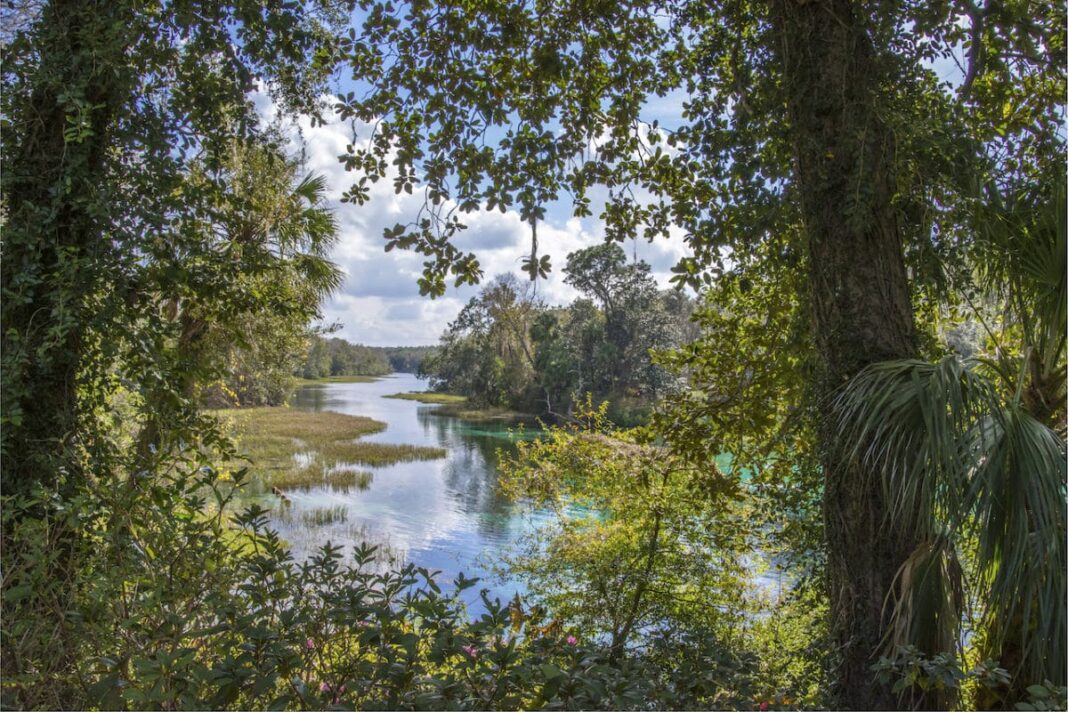 Florida paradise