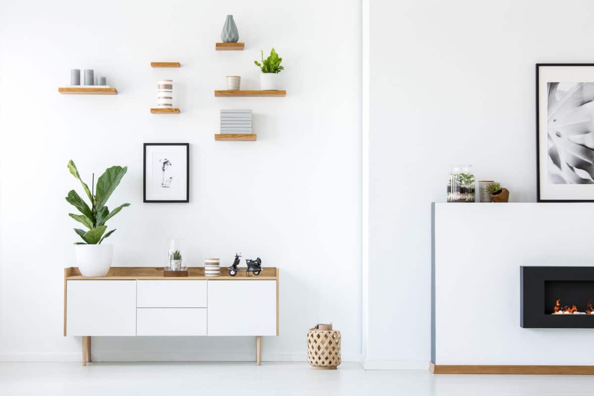 Plant on wooden white cupboard in apartment interior with posters and fireplace. Real photo