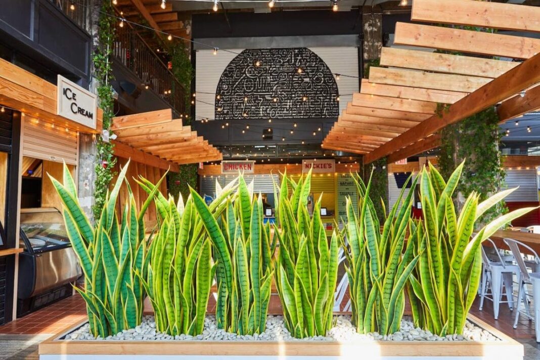 Interior of food hall with green plants in front