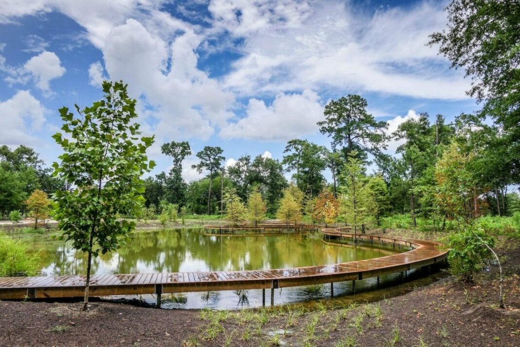 water, trees, and blue skies at the Houston Arboretum