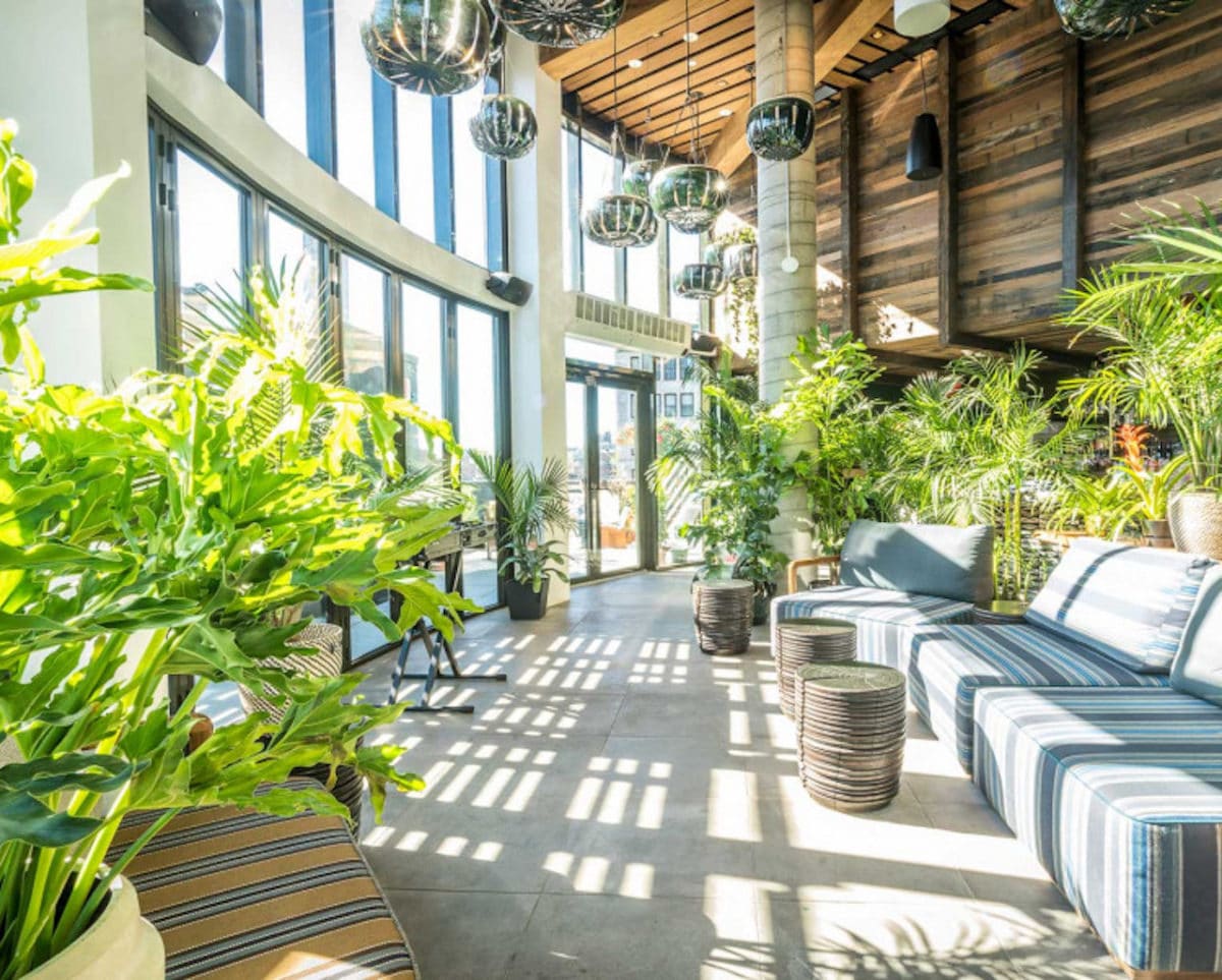 Indoor rooftop with greenery and light shining through