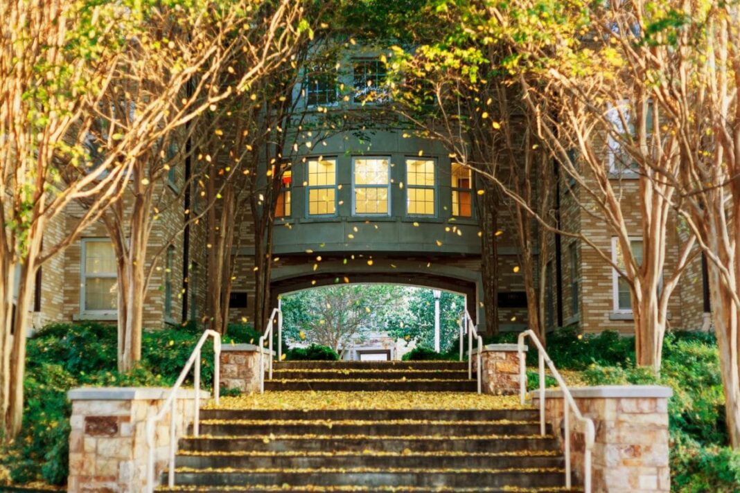 staircase leading up to green building with fall leaves on the ground and in the trees