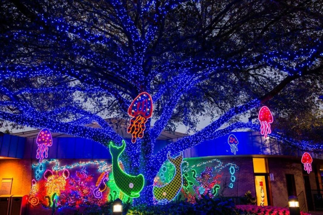 Christmas lights in a zoo