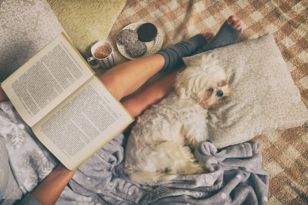 woman lying on bed with book and dog in her lap