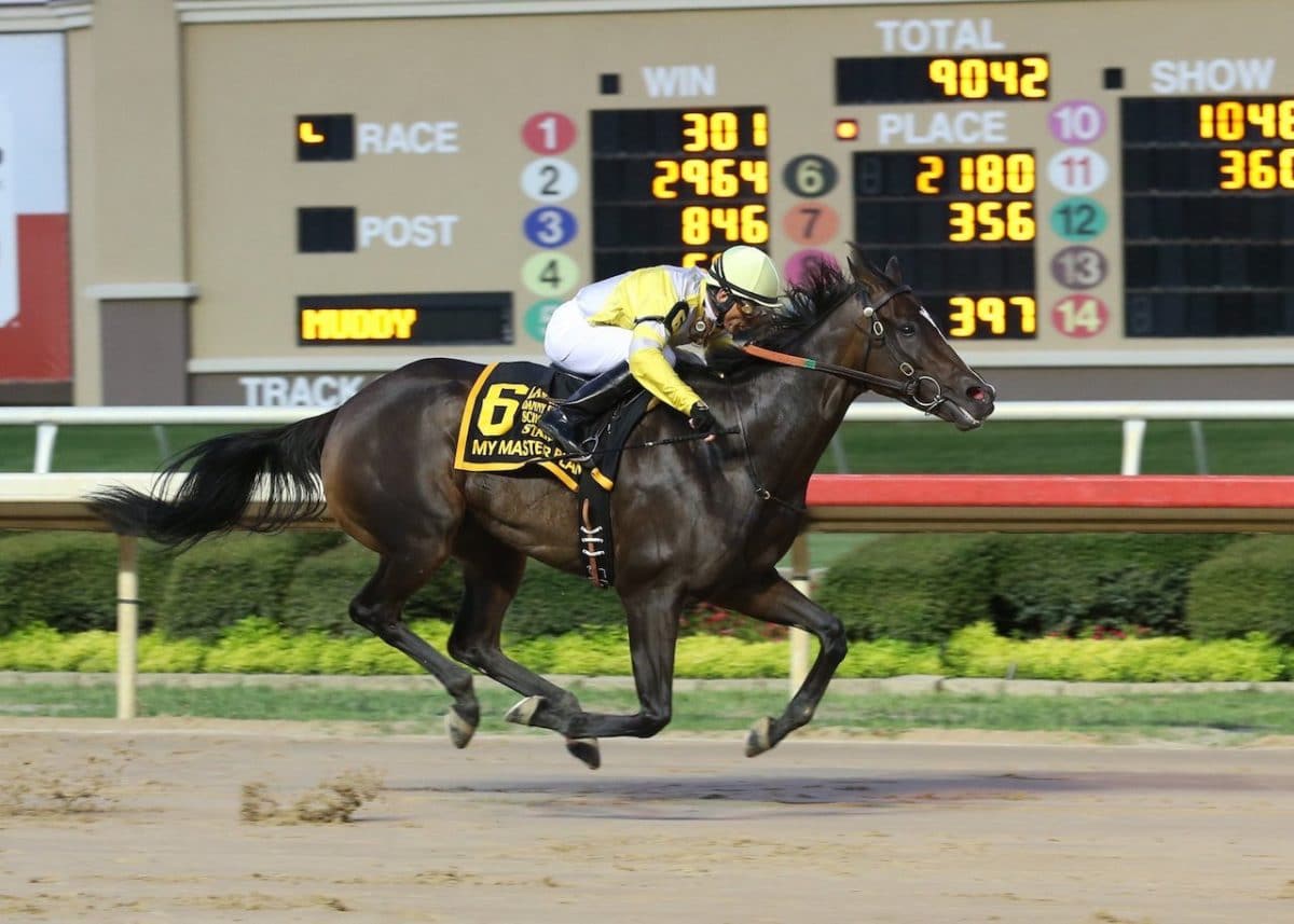 jockey on horse racing around track