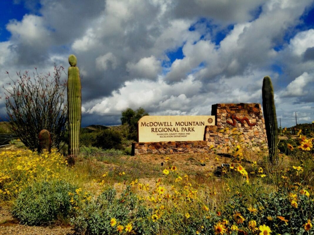 McDowell-Mountain