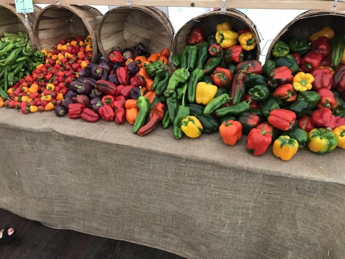 table with wooden bins full of colorful vegetables