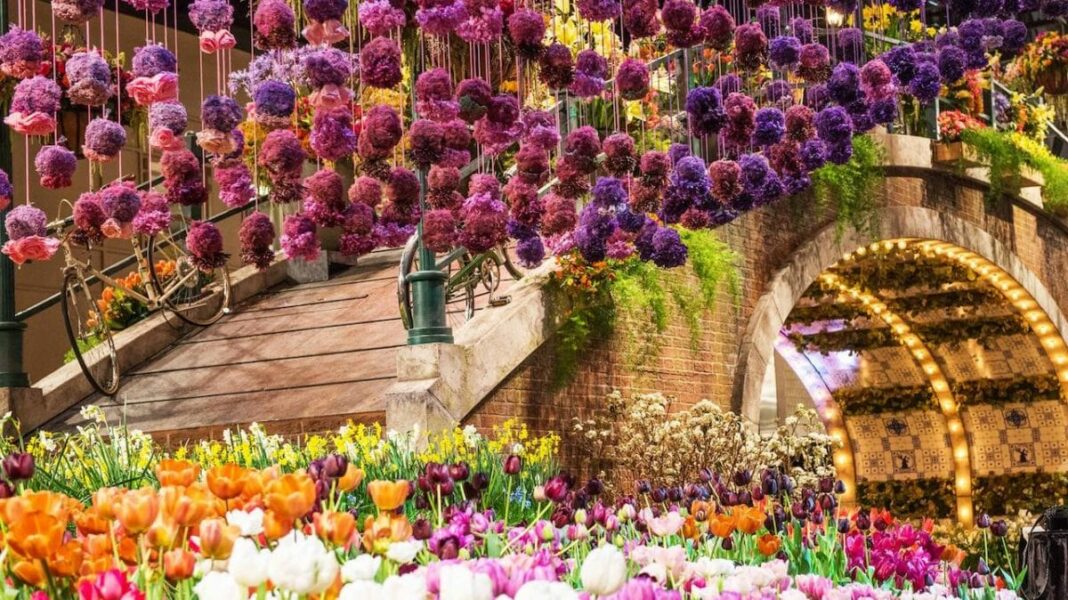 flower display taking up large room