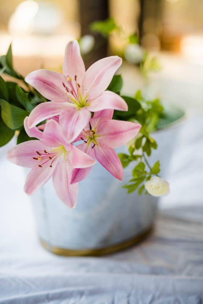 Lilies hannah-olinger-566034-unsplash