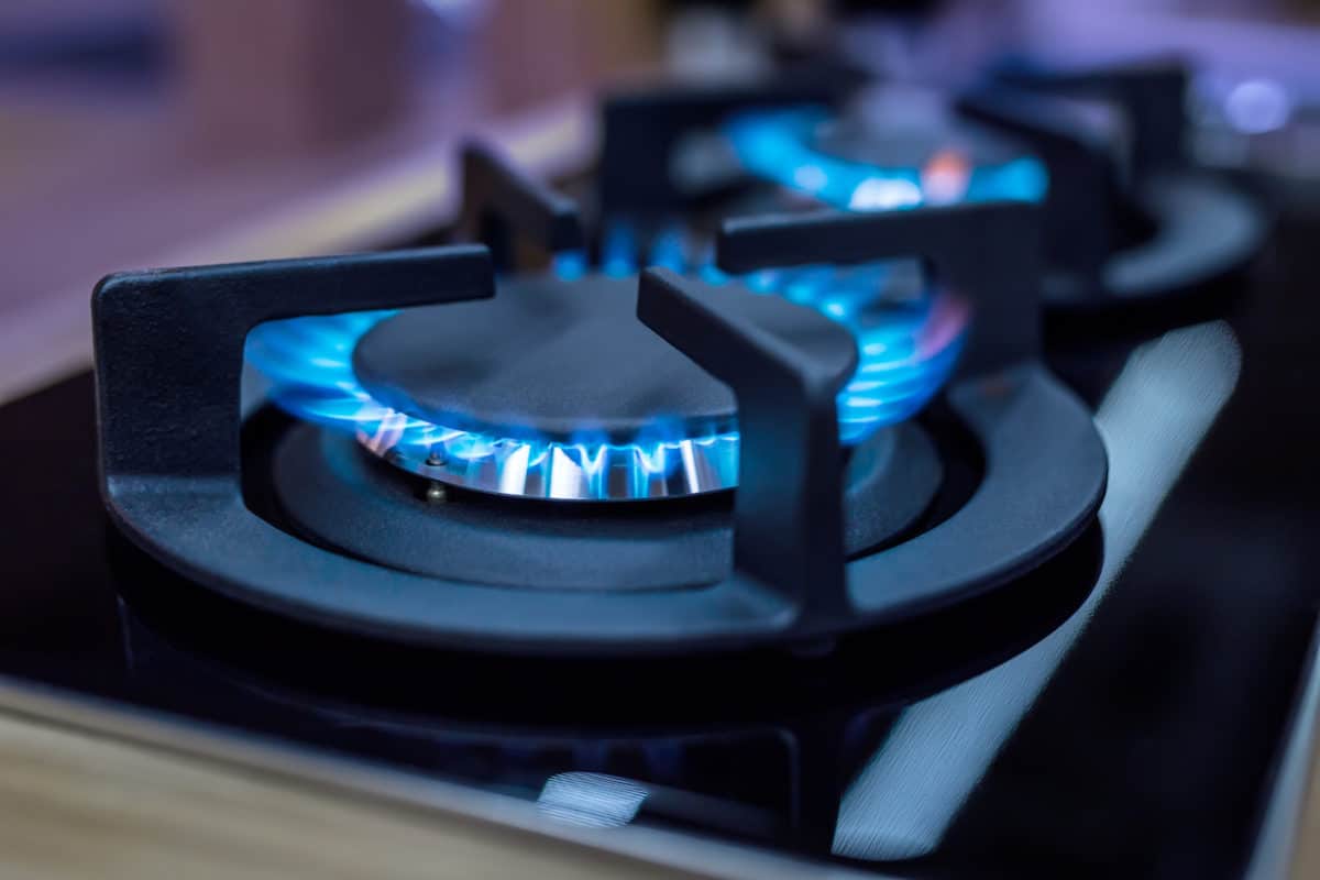gas stove close up with blue flames