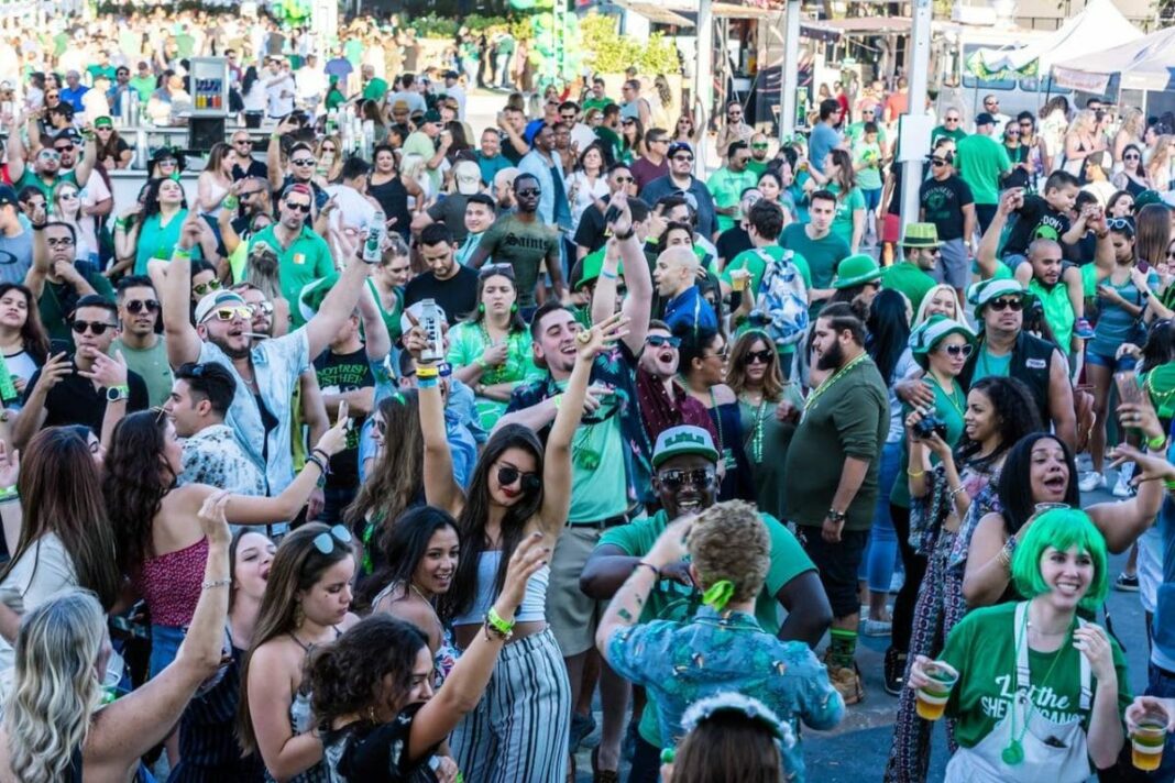 crowd of people listening to DJ and drinking beer outside