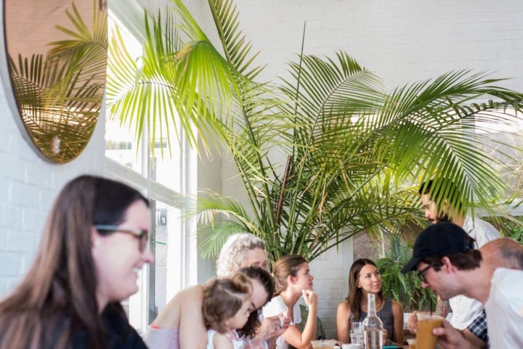 people in white walled-room with tropical tree in corner