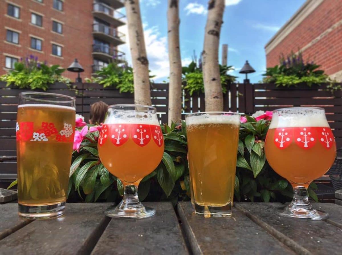 four beers lined up on table outside with trees and blue skies in background