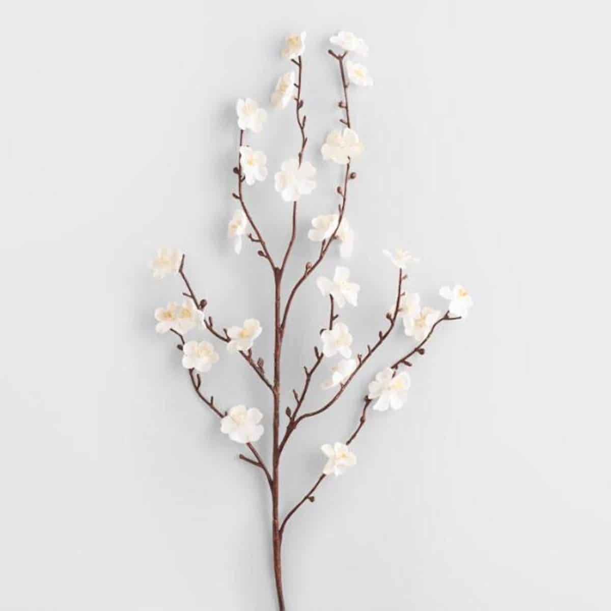 Flowering Branches