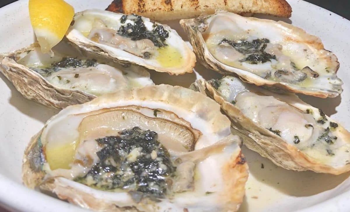 close up of oysters in their shells with lemon on plate