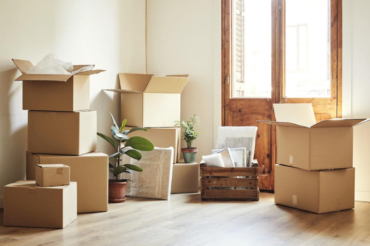 moving boxes and plants