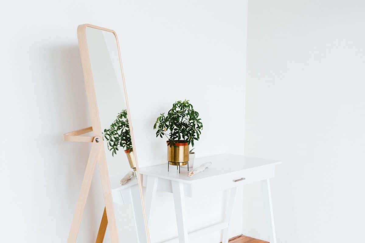 mirror sitting next to white desk and reflecting plant on desk