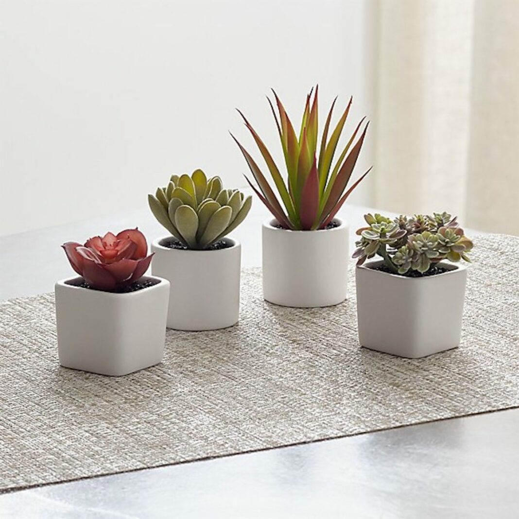Faux Succulents