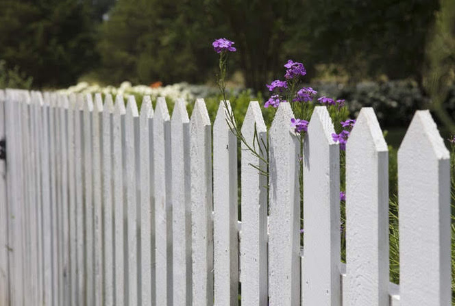 white picket fence with purple flower