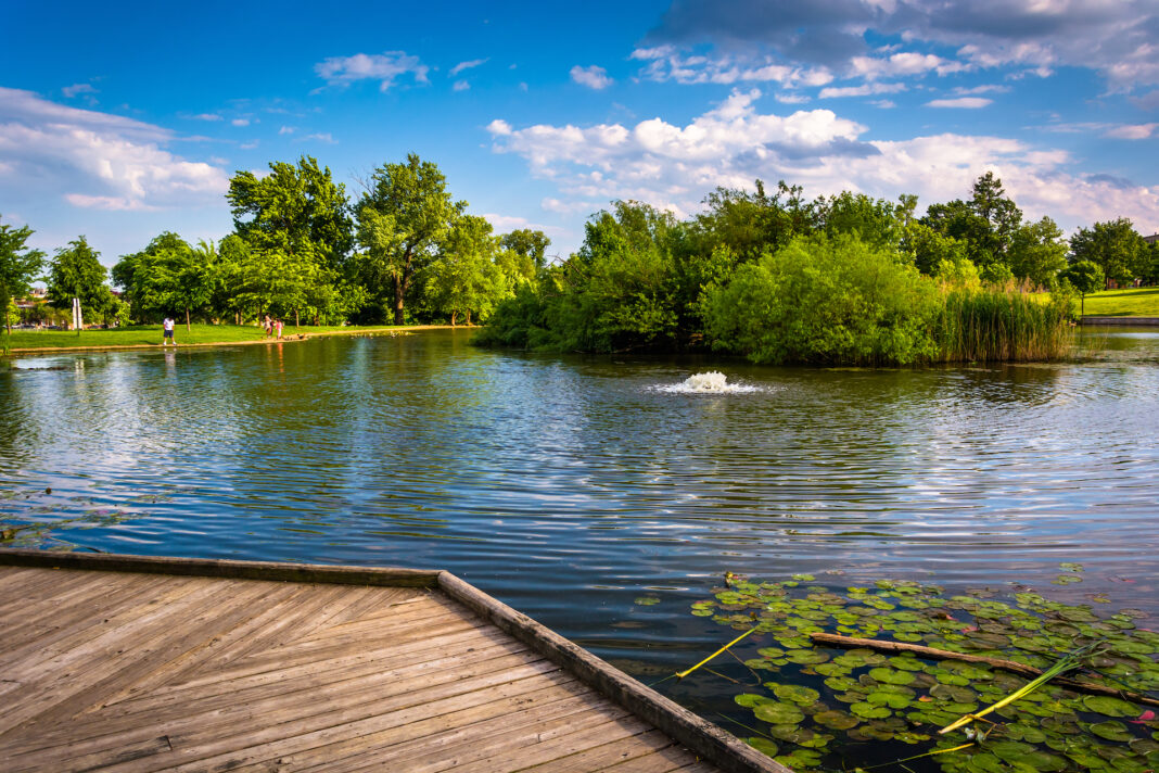 This image has an empty alt attribute; its file name is iStock-530275307-1.jpg