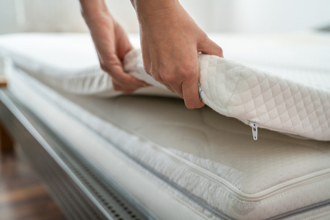 How to Get Rid of Bed Bugs