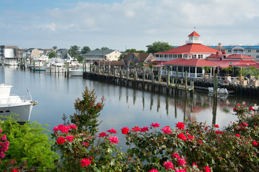 Photo of Delaware waterfront 