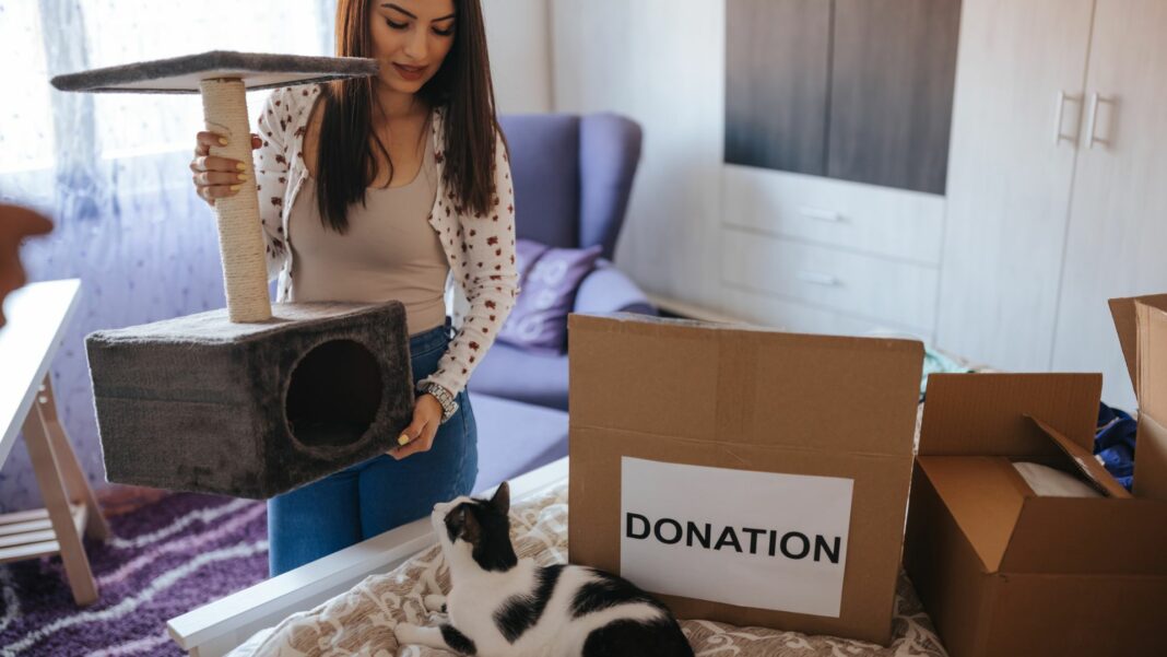 How to Successfully Move to a New Home with Your Cat