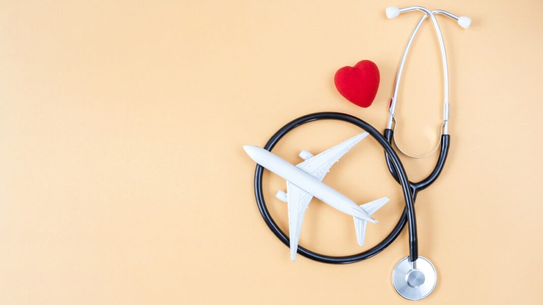 being travel nurse with dog